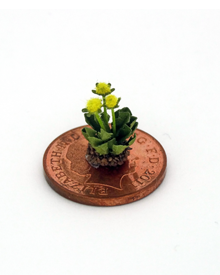 Three Dandelion weeds (image for) Three Dandelion weeds